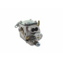 Carburateur GGP - CASTELGARDEN 123054017/0