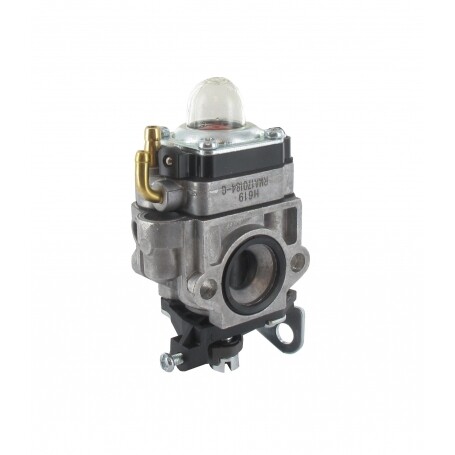 Carburateur GGP - CASTELGARDEN 123054025/1