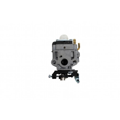 Carburateur GGP - CASTELGARDEN 123054036/0