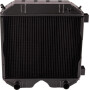 Radiateur GOLDONI 00031214