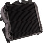 Radiateur GOLDONI 00062443