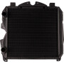 Radiateur GOLDONI 00062443