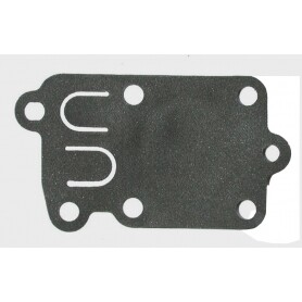 Membrane BRIGGS ET STRATTON 272538S