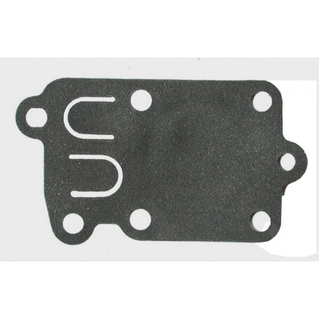 Membrane BRIGGS ET STRATTON 272538S