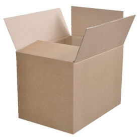 Carton 305x215x225mm UNIVERSEL VPM16020