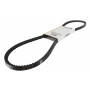 Courroie GGP - CASTELGARDEN 1134-9172-01