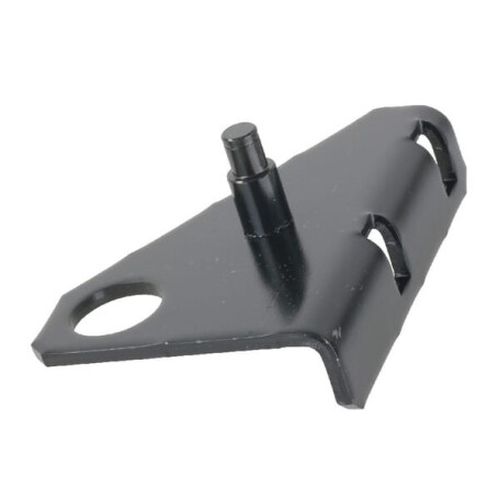 Renfort de fixation ETESIA ET28273