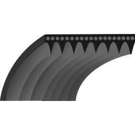 Courroie simple crantage TORO 25-6430 - 256430 - 844 mm