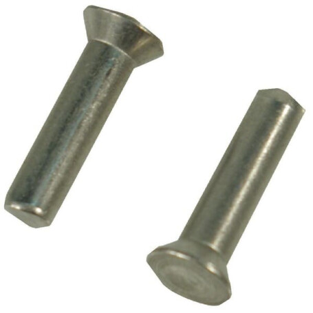 Rivet TRIOLIET-MULLOS 85245
