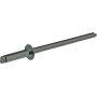 Rivet UNIVERSEL BN310SSP001