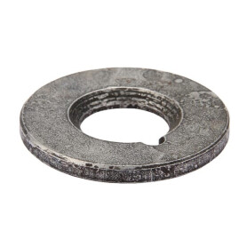 Rondelle AGRIA AGW06502