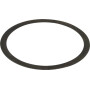 Rondelle SPICER DANA 3426231M1N
