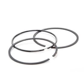 Segment BRIGGS et STRATTON 696403