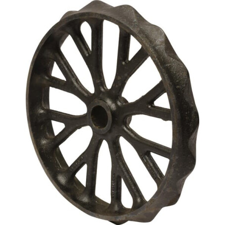 Roue DAL-BO 15889
