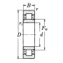 Roulement à rouleaux cylindriques 35x62x14mm SKF NU1007ECPC3