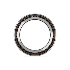 Roulement à rouleaux côniques SKF 750032008X