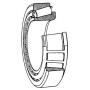 Roulement à rouleaux côniques SKF 750032008X