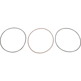Joint GOLDONI V0068968