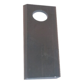 Section JF 8113800010