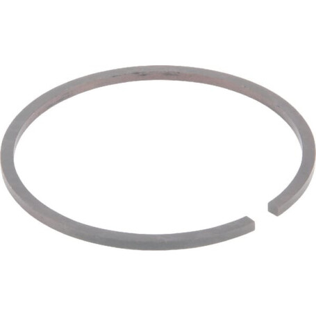 Segment BERTOLINI 818504502