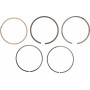 Segment KOHLER 2410815S