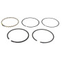 Segment KOHLER 4810801S
