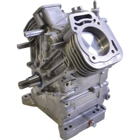 Shortblock BRIGGS ET STRATTON 496238