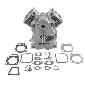 Short BRIGGS ET STRATTON 494057