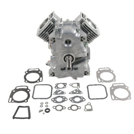 Short BRIGGS ET STRATTON 494057
