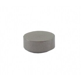 Capuchon de soupape BRIGGS ET STRATTON 691843