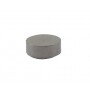 Capuchon de soupape BRIGGS ET STRATTON 691843