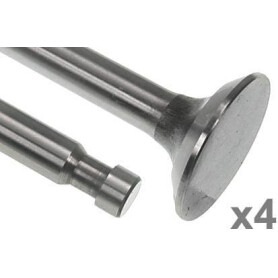 Soupape d'échappement VAPORMATIC VPA1010