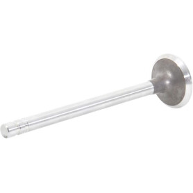 Soupape d'échappement UNIVERSEL 81818709N
