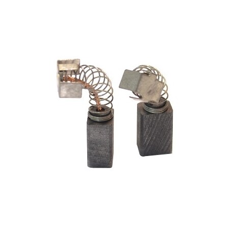 Jeu de charbons RYOBI 6540023