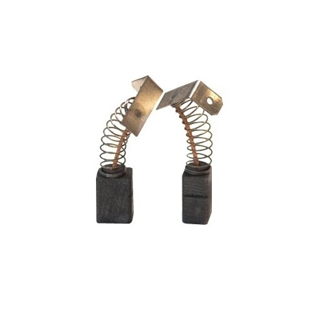 Jeu de charbons RYOBI 6540743
