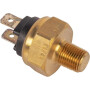 Thermistor MASSEY FERGUSON 3595187M1