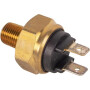 Thermistor MASSEY FERGUSON 3595187M1