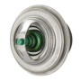 Thermostat FENDT F119200050040