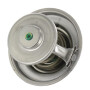 Thermostat FENDT F119200050040