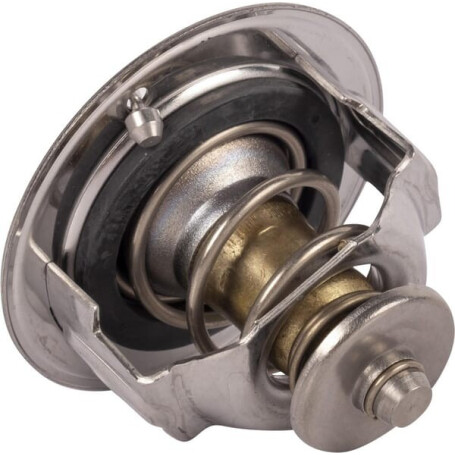 Thermostat KUBOTA 1C01173013