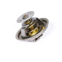 Thermostat PERKINS 2485C036