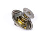 Thermostat PERKINS 2485C036