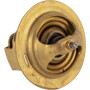 Thermostat SDF 090076538