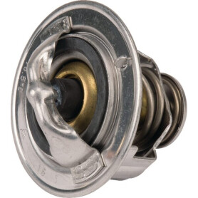 Thermostat KUBOTA 1C01173010