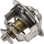 Thermostat KUBOTA 1C01173010