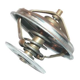 Thermostat ZETOR 89005904