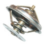 Thermostat ZETOR 89005904