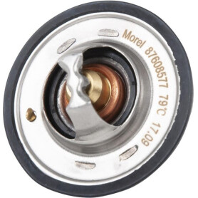 Thermostat GOPART 98463637GP