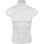 Torse masuclin sans jambe ni bras UNIVERSEL KRA4020011