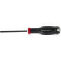 Tournevis FACOM ATWHH6X100